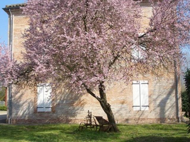 Le Platane Bed & Breakfast Lafrançaise Екстериор снимка